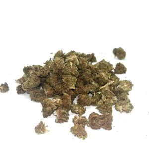 Power Plant Small Buds